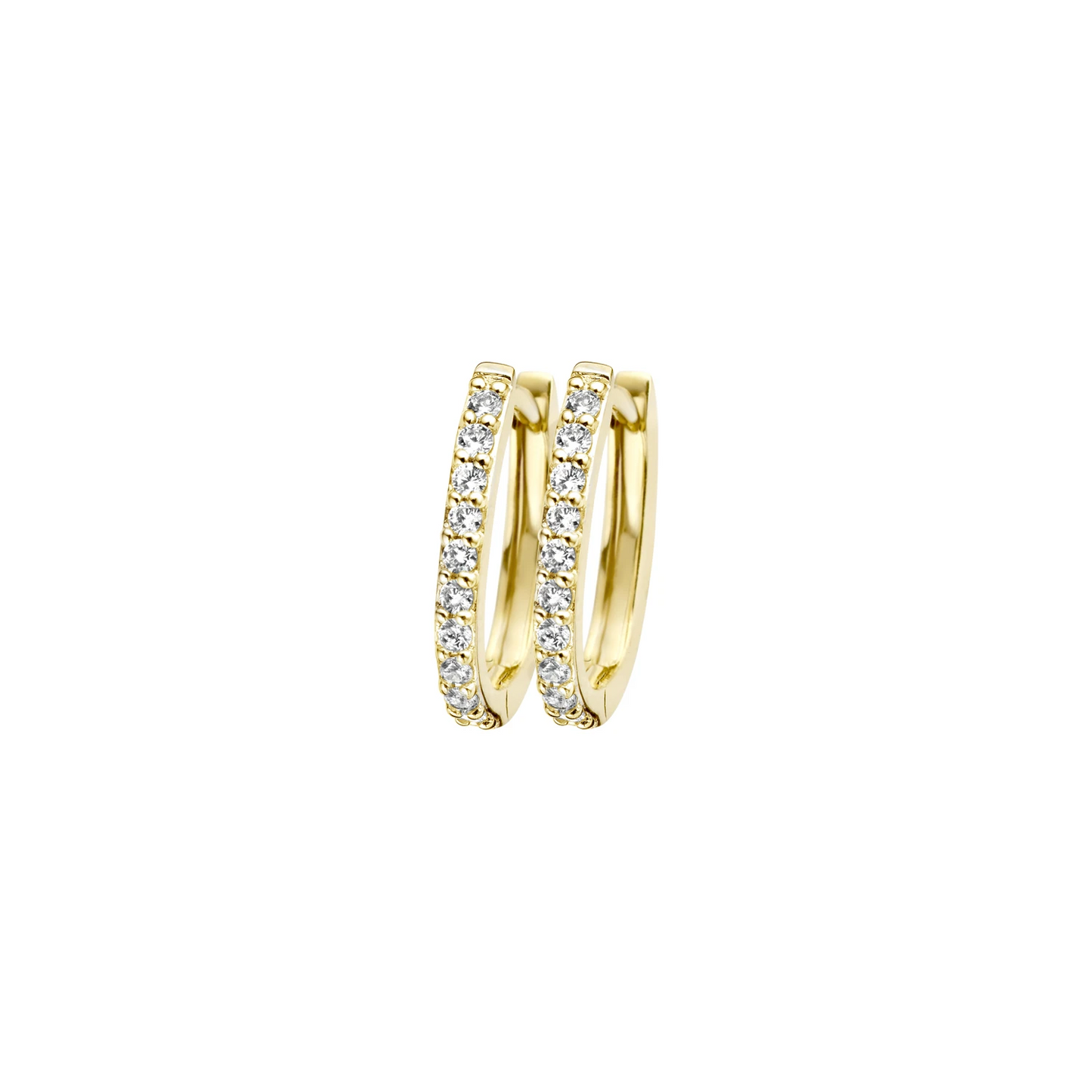 Blush Oorbellen 7236YZI - Geel Goud met Zirkonia (14k)