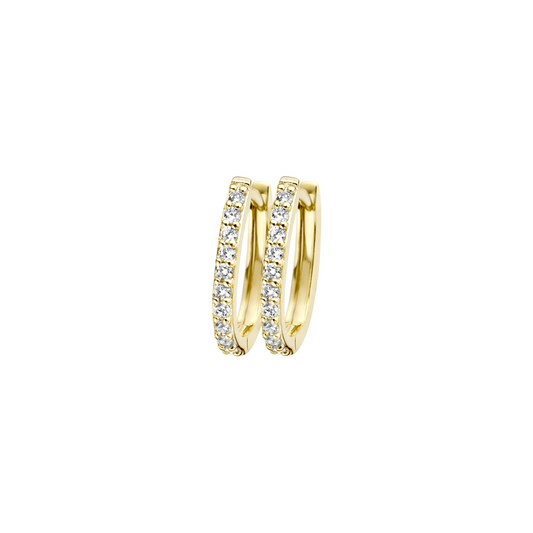 Blush Oorbellen 7236YZI - Geel Goud met Zirkonia (14k)