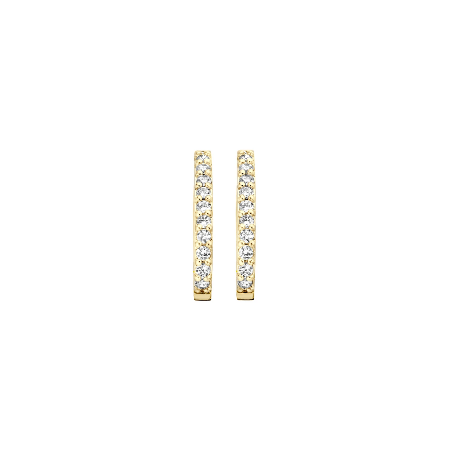 Blush Oorbellen 7236YZI - Geel Goud met Zirkonia (14k)