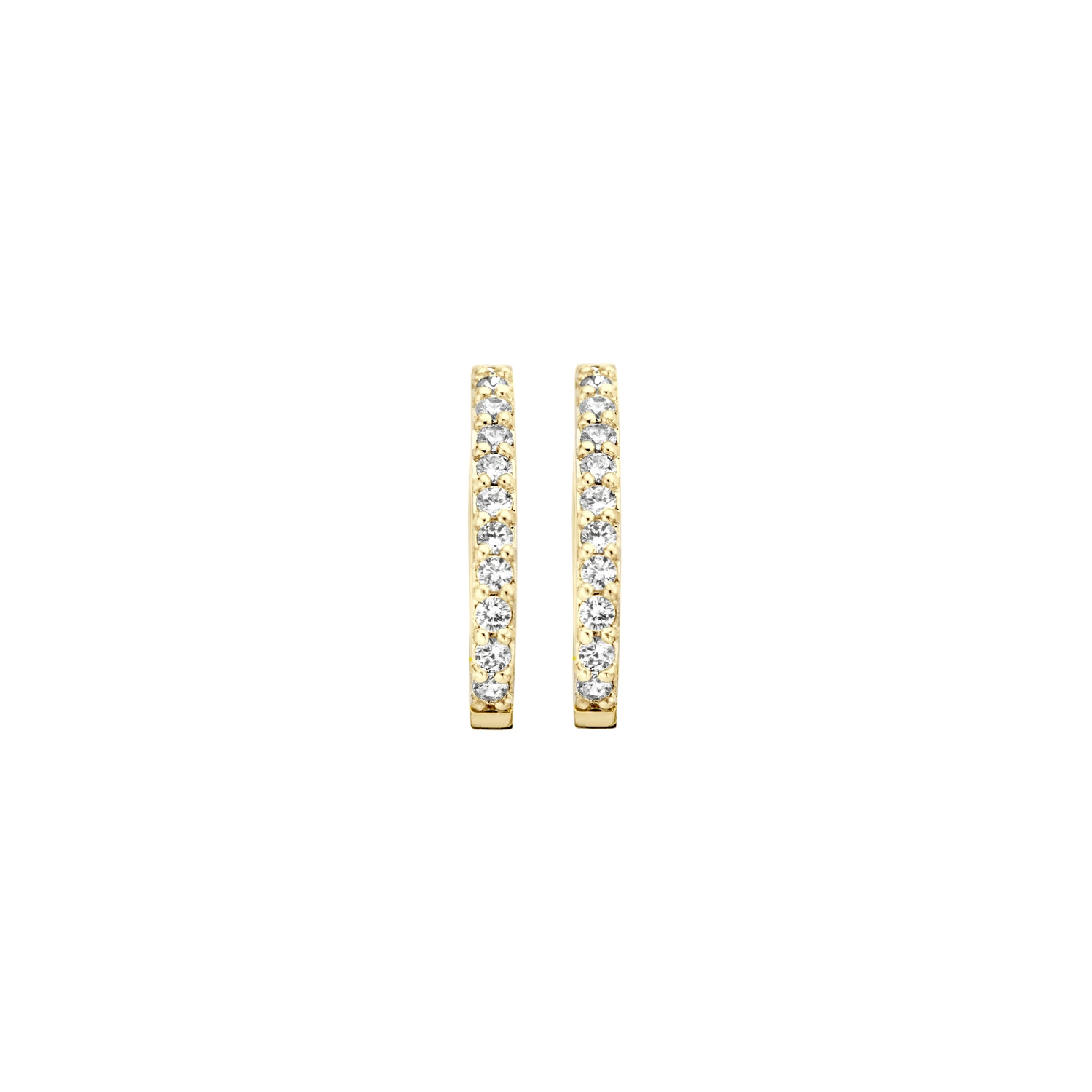 Blush Oorbellen 7236YZI - Geel Goud met Zirkonia (14k)