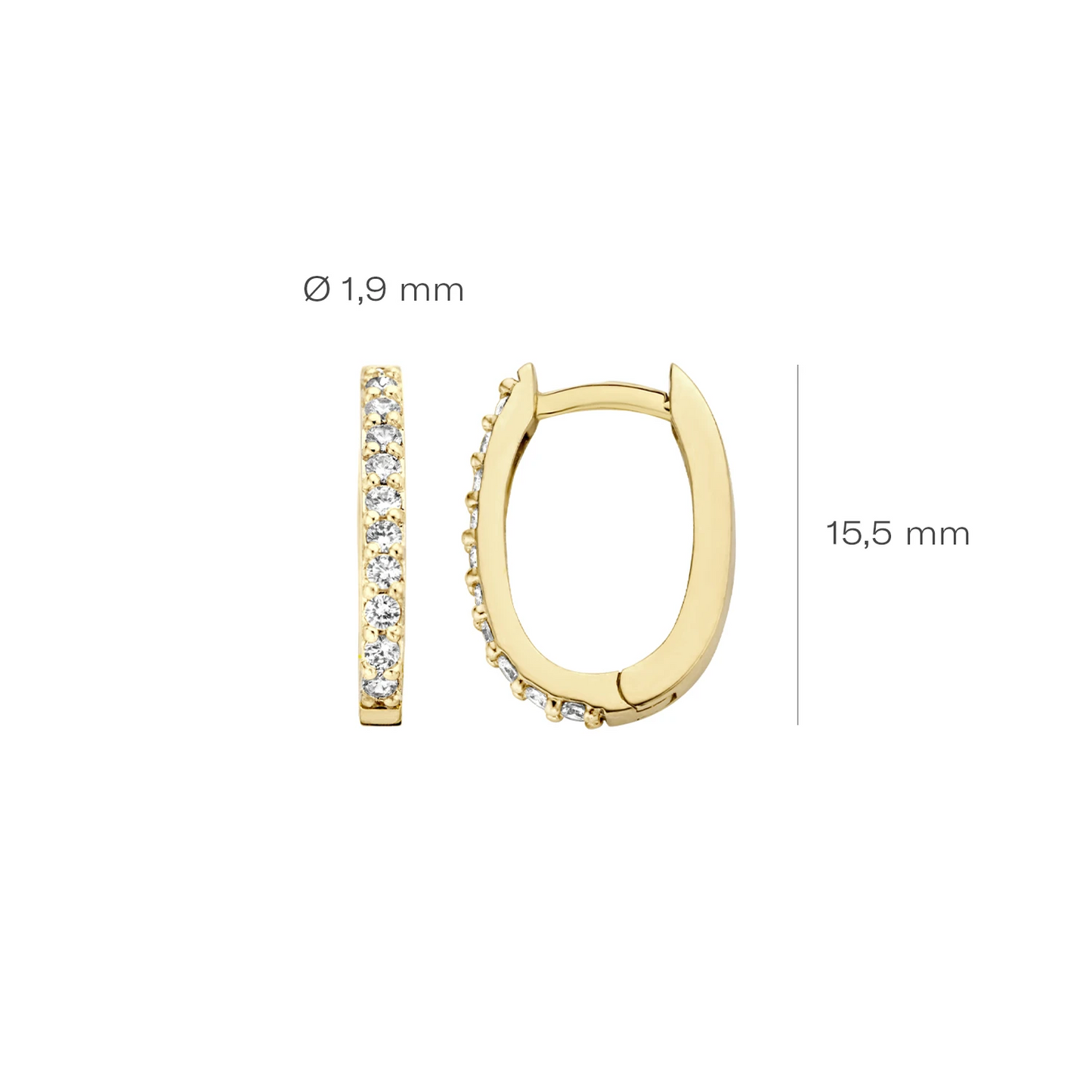 Blush Oorbellen 7236YZI - Geel Goud met Zirkonia (14k)