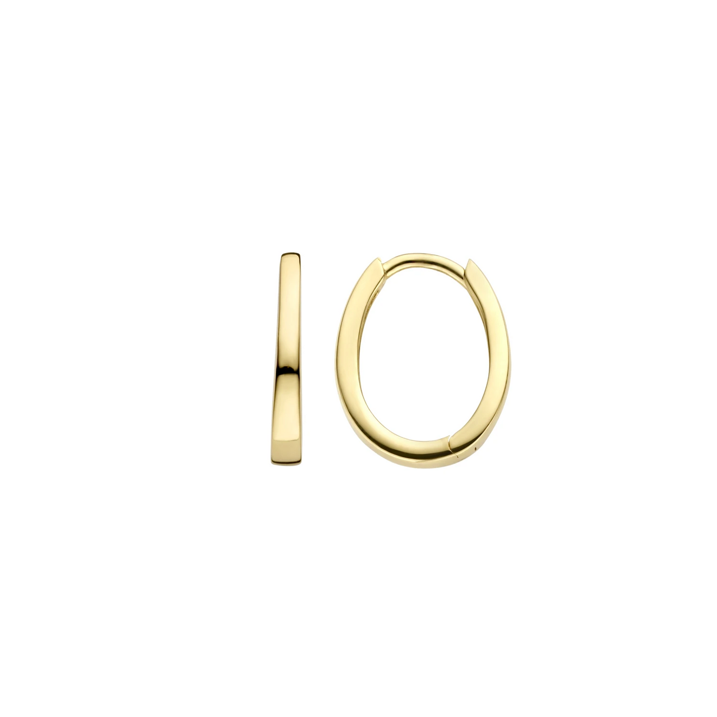 Blush Oorbellen 7277YGO - Geel Goud (14k)