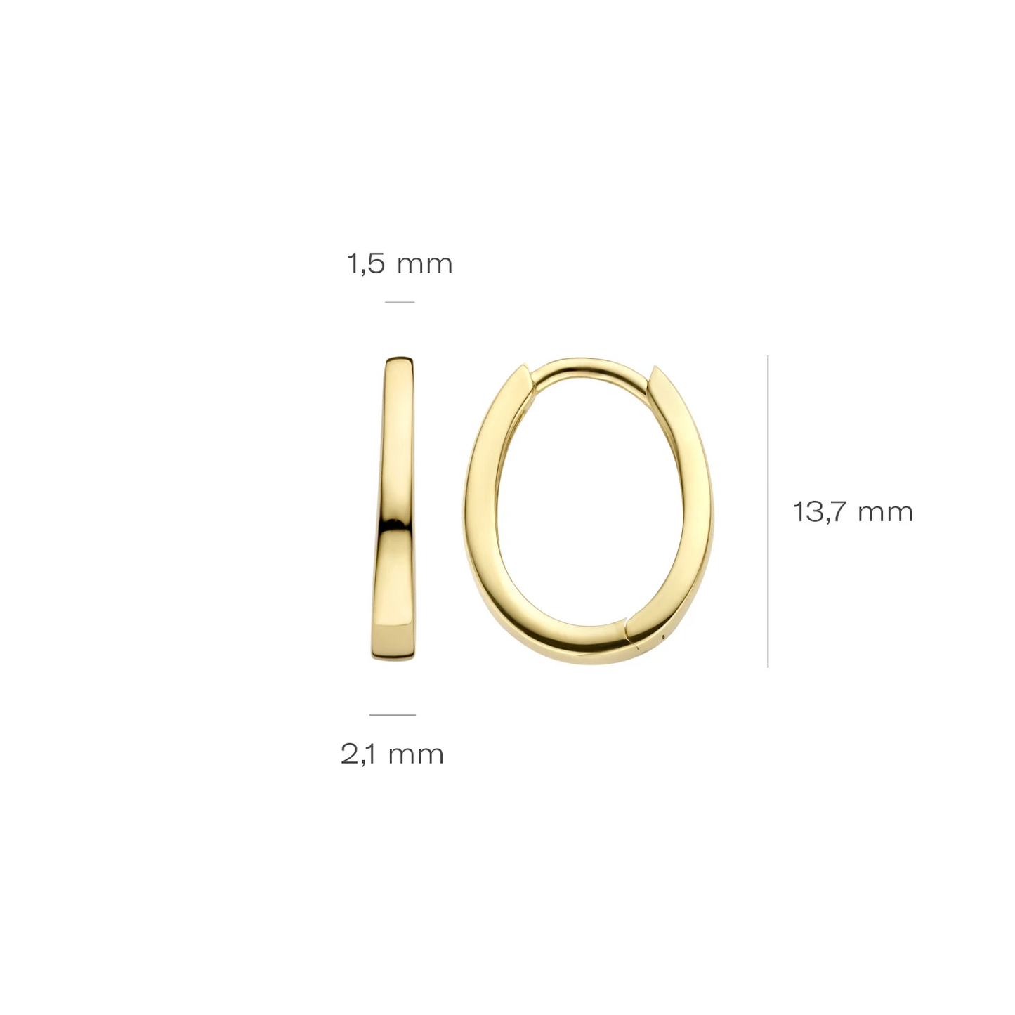 Blush Oorbellen 7277YGO - Geel Goud (14k)