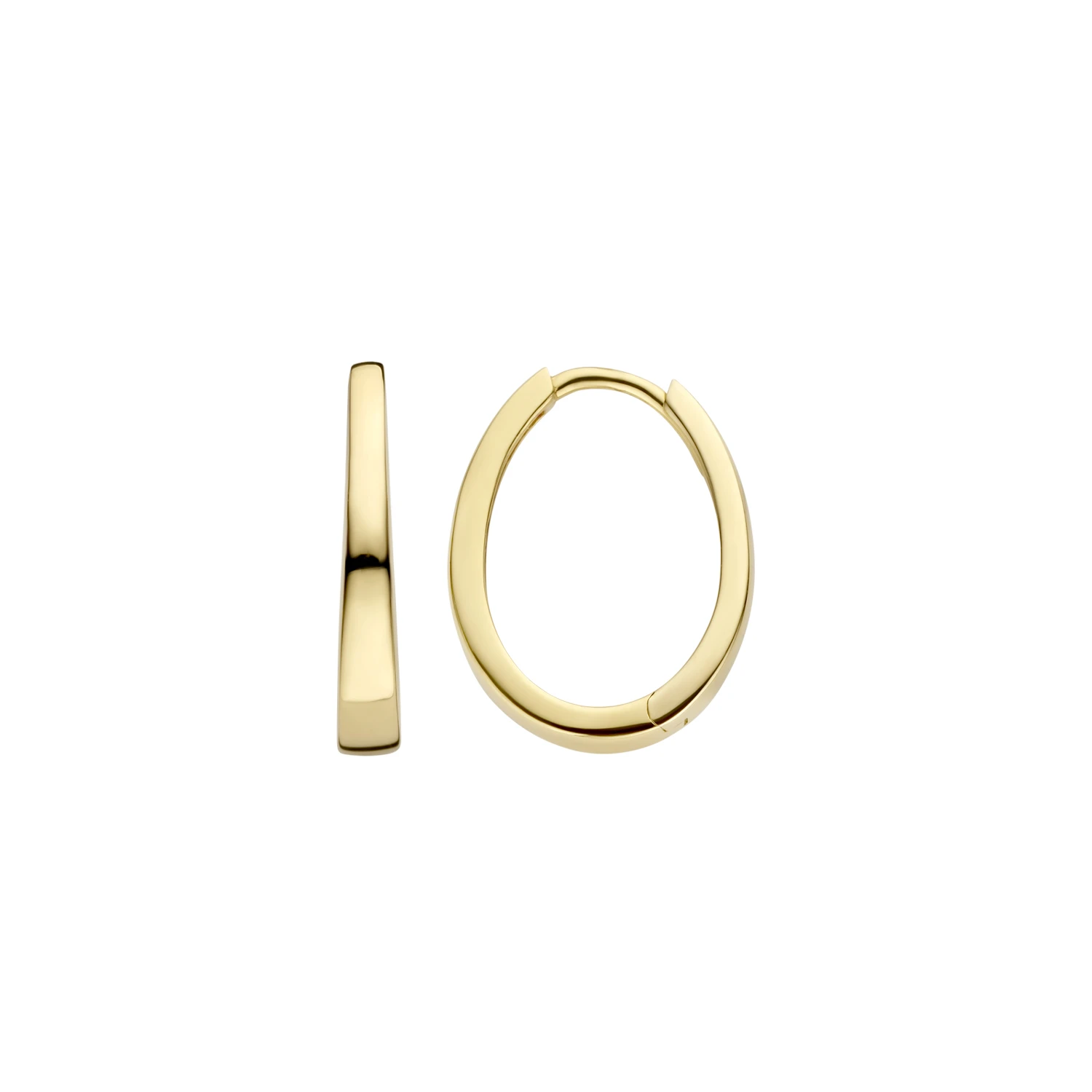 Blush Oorbellen 7278YGO - Geel Goud (14k)
