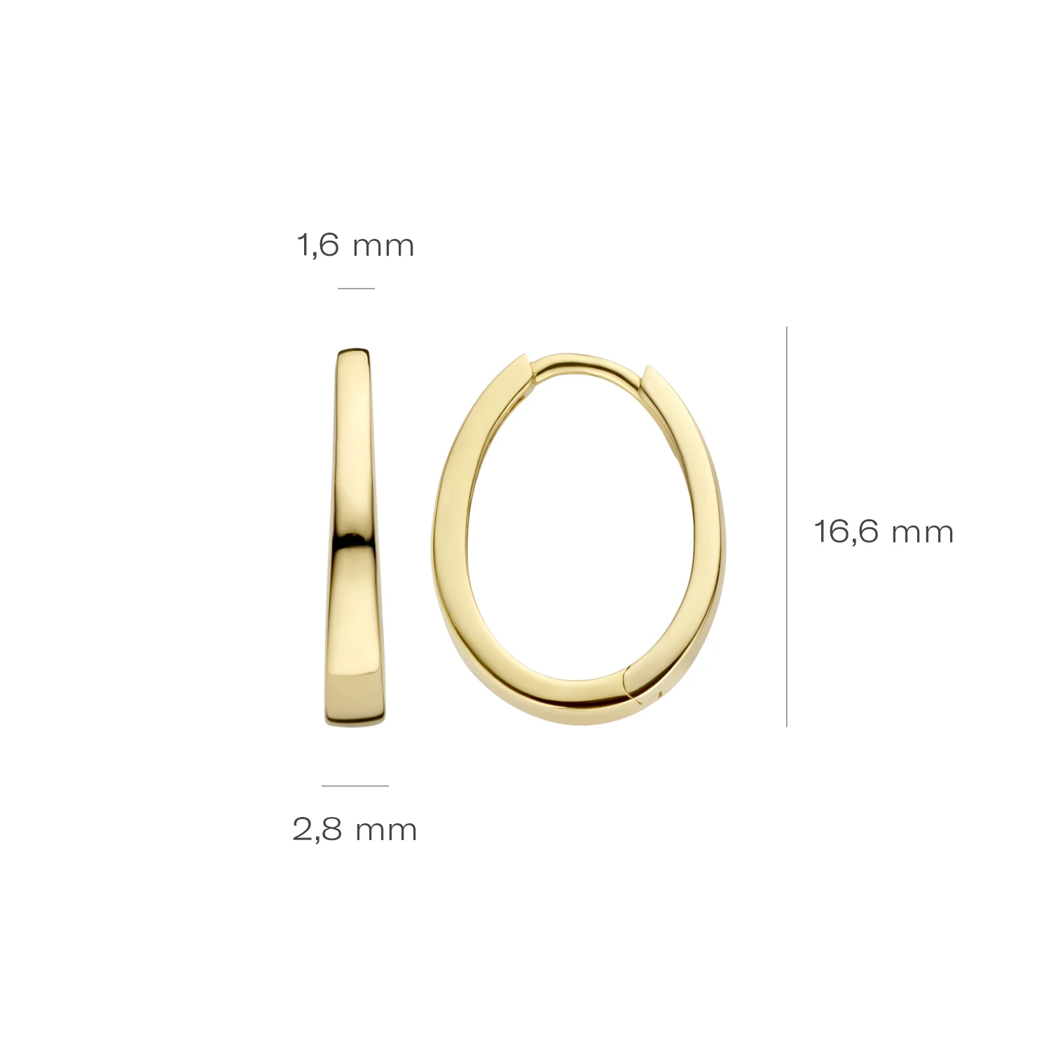 Blush Oorbellen 7278YGO - Geel Goud (14k)