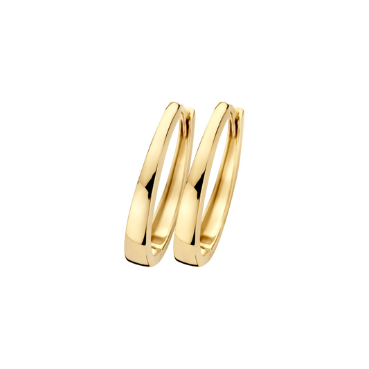 Blush Oorbellen 7303YGO - Geel Goud (14k)