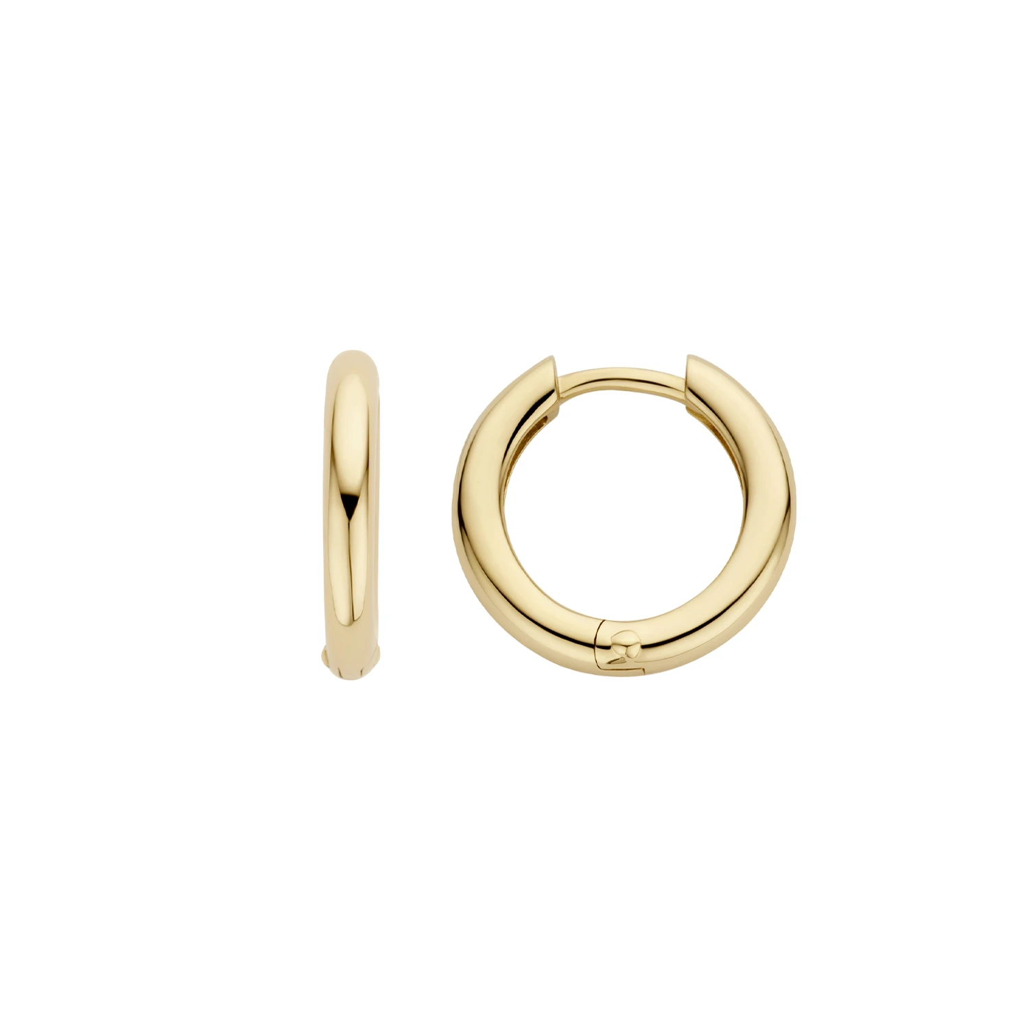 Blush Oorbellen 7317YGO -  Geel Goud (14k)