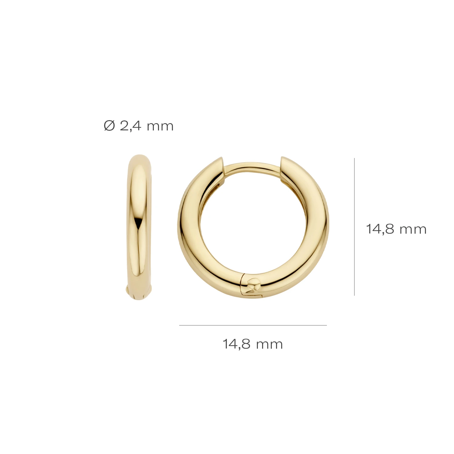 Blush Oorbellen 7317YGO -  Geel Goud (14k)