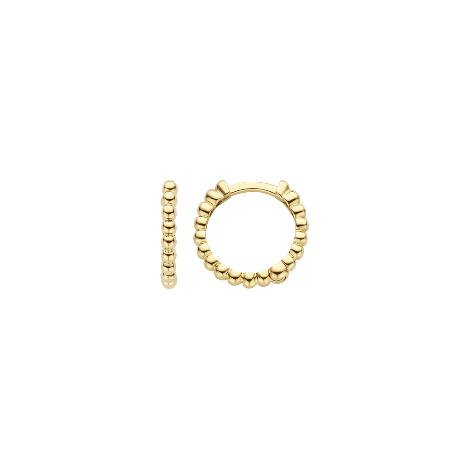 Blush Oorringen 7263YGO - Geel Goud (14k)