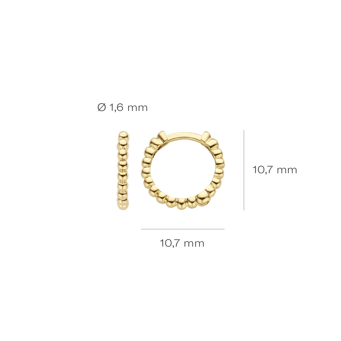 Blush Oorringen 7263YGO - Geel Goud (14k)