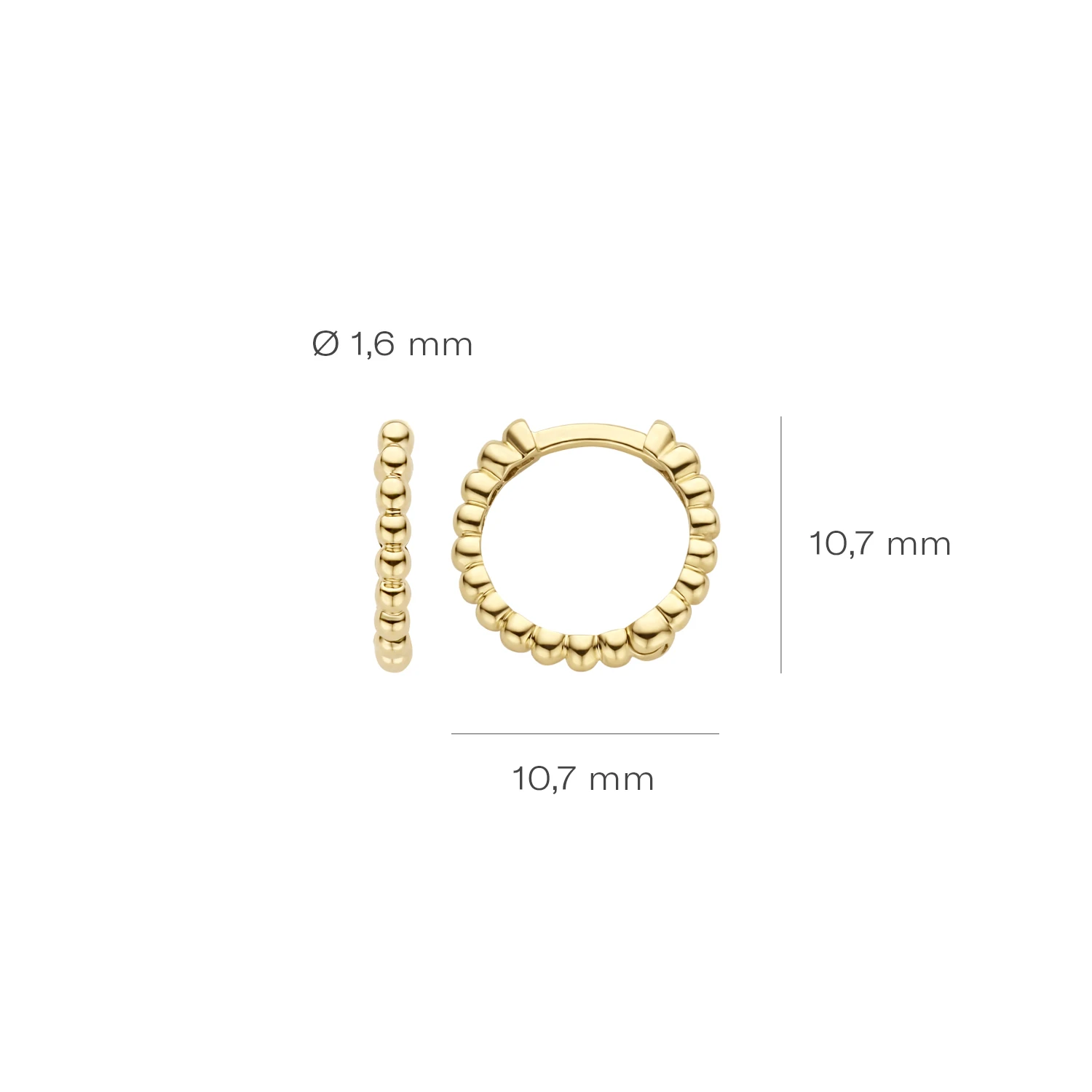Blush Oorringen 7263YGO - Geel Goud (14k)