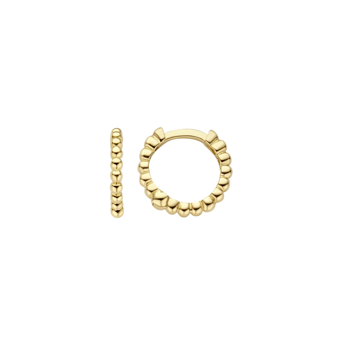 Blush Oorringen 7264YGO - Geel Goud (14k)