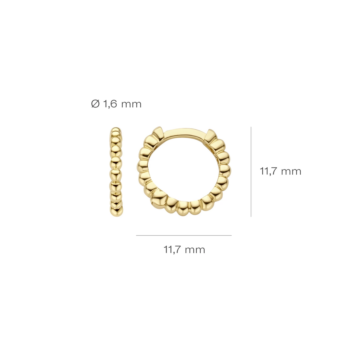 Blush Oorringen 7264YGO - Geel Goud (14k)
