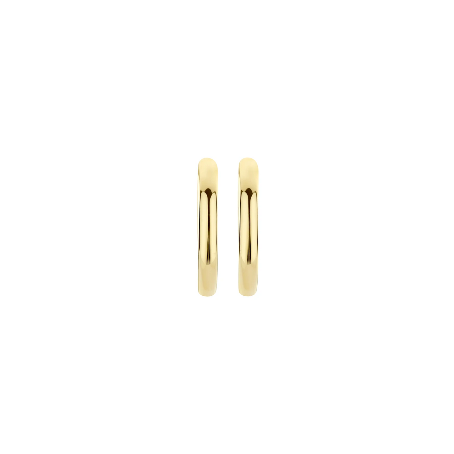 Blush Oorringen 7271YGO - Geel Goud (14k)