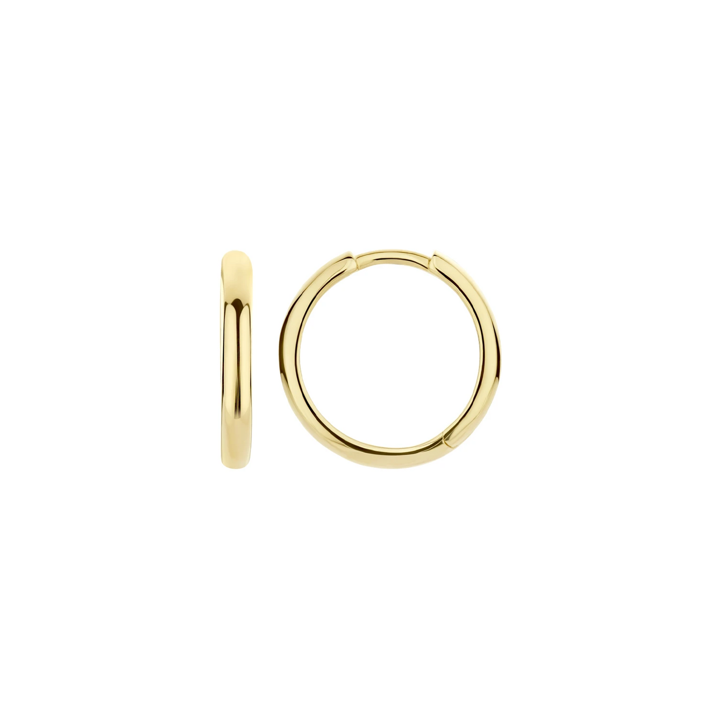 Blush Oorringen 7271YGO - Geel Goud (14k)