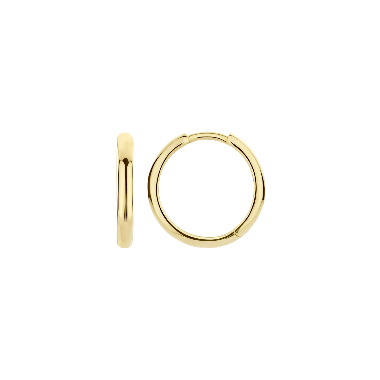 Blush Oorringen 7271YGO - Geel Goud (14k)