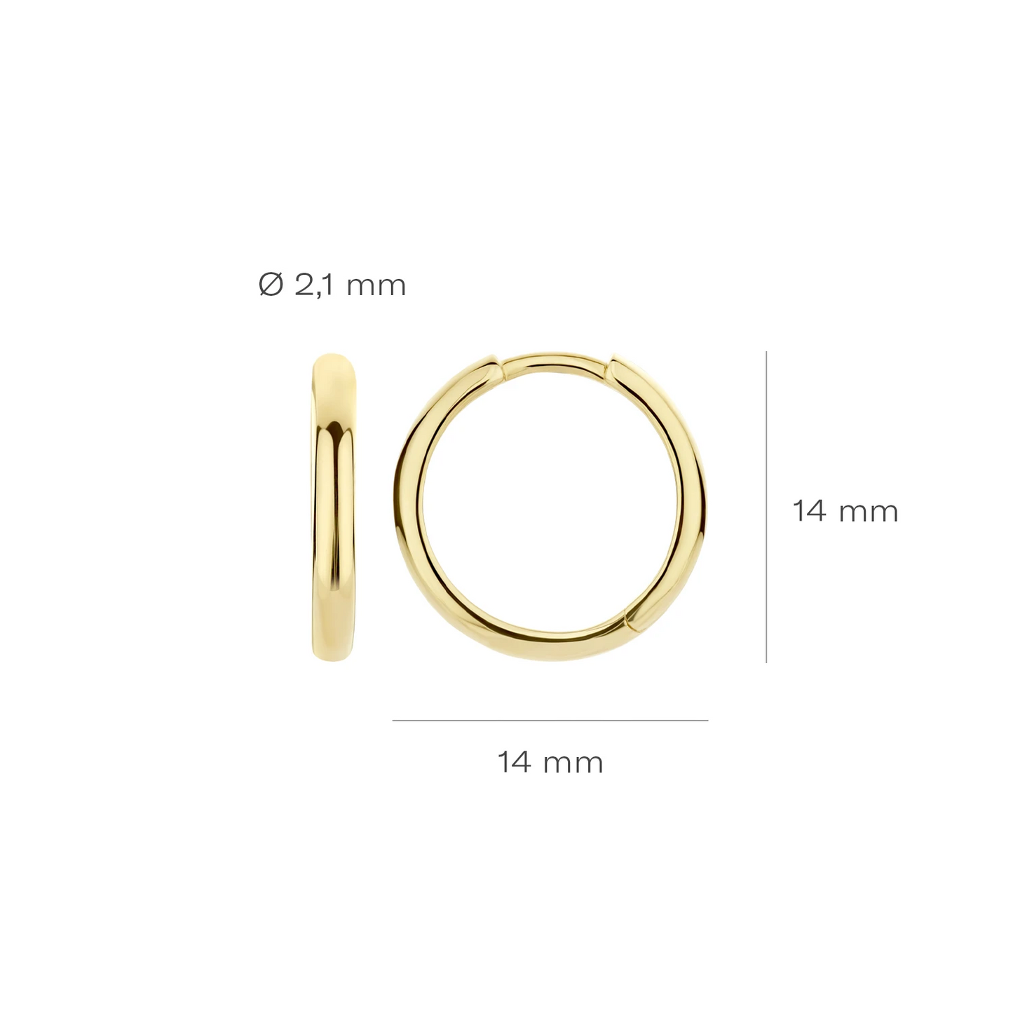 Blush Oorringen 7271YGO - Geel Goud (14k)