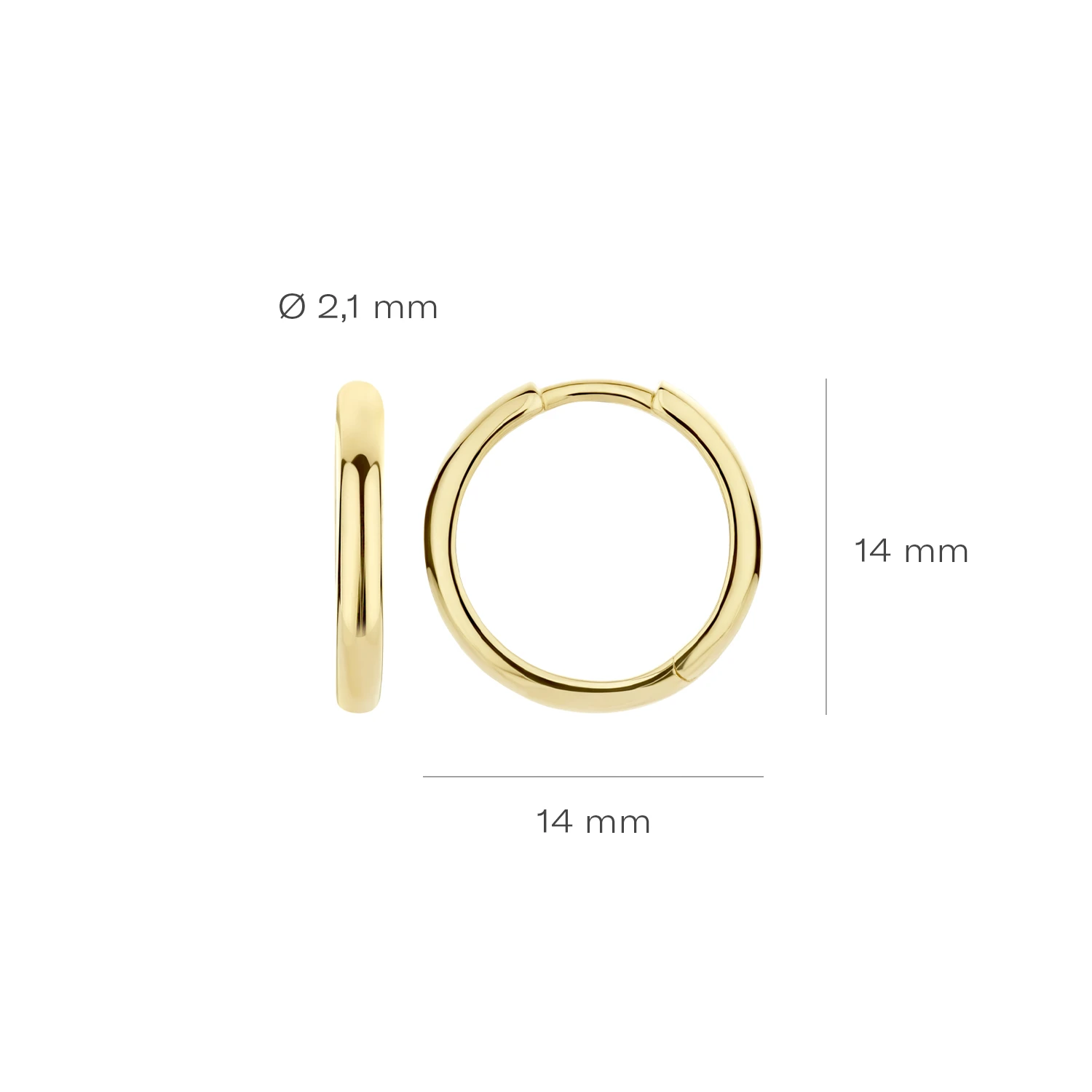 Blush Oorringen 7271YGO - Geel Goud (14k)