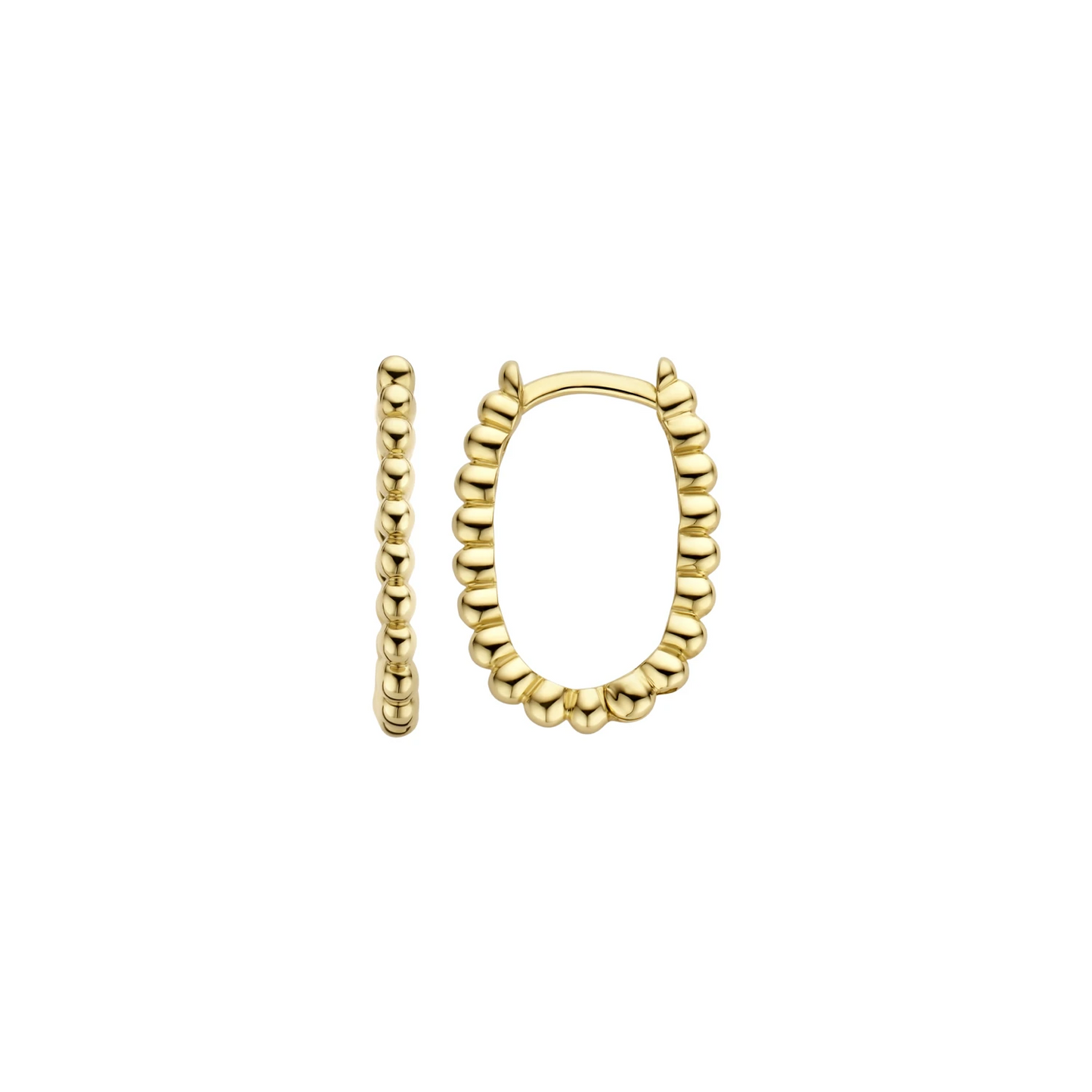 Blush Oorringen 7272YGO - Geel Goud (14k)
