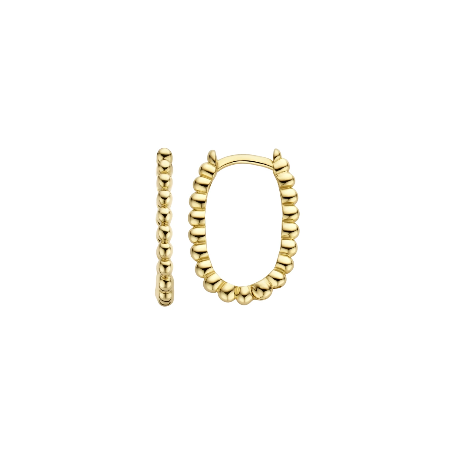 Blush Oorringen 7272YGO - Geel Goud (14k)