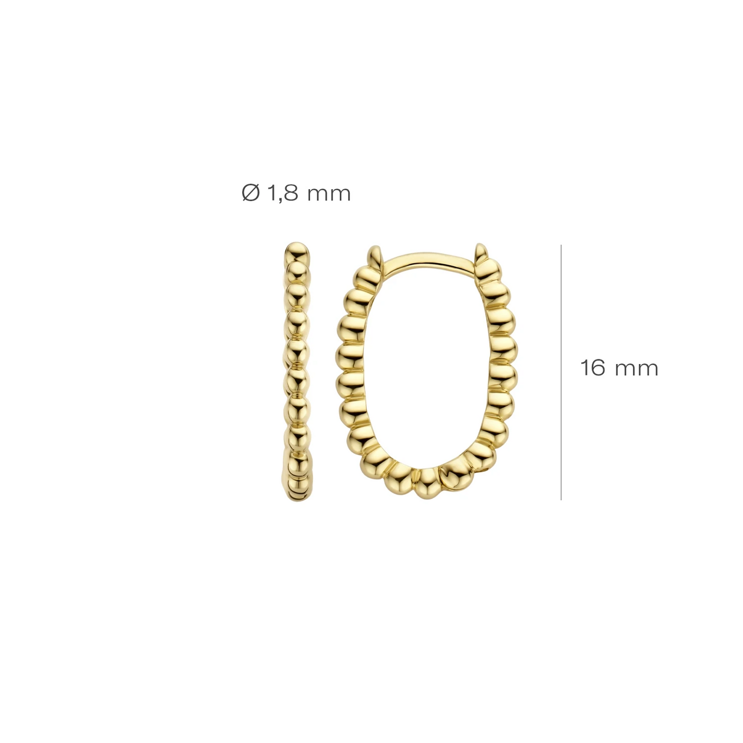Blush Oorringen 7272YGO - Geel Goud (14k)