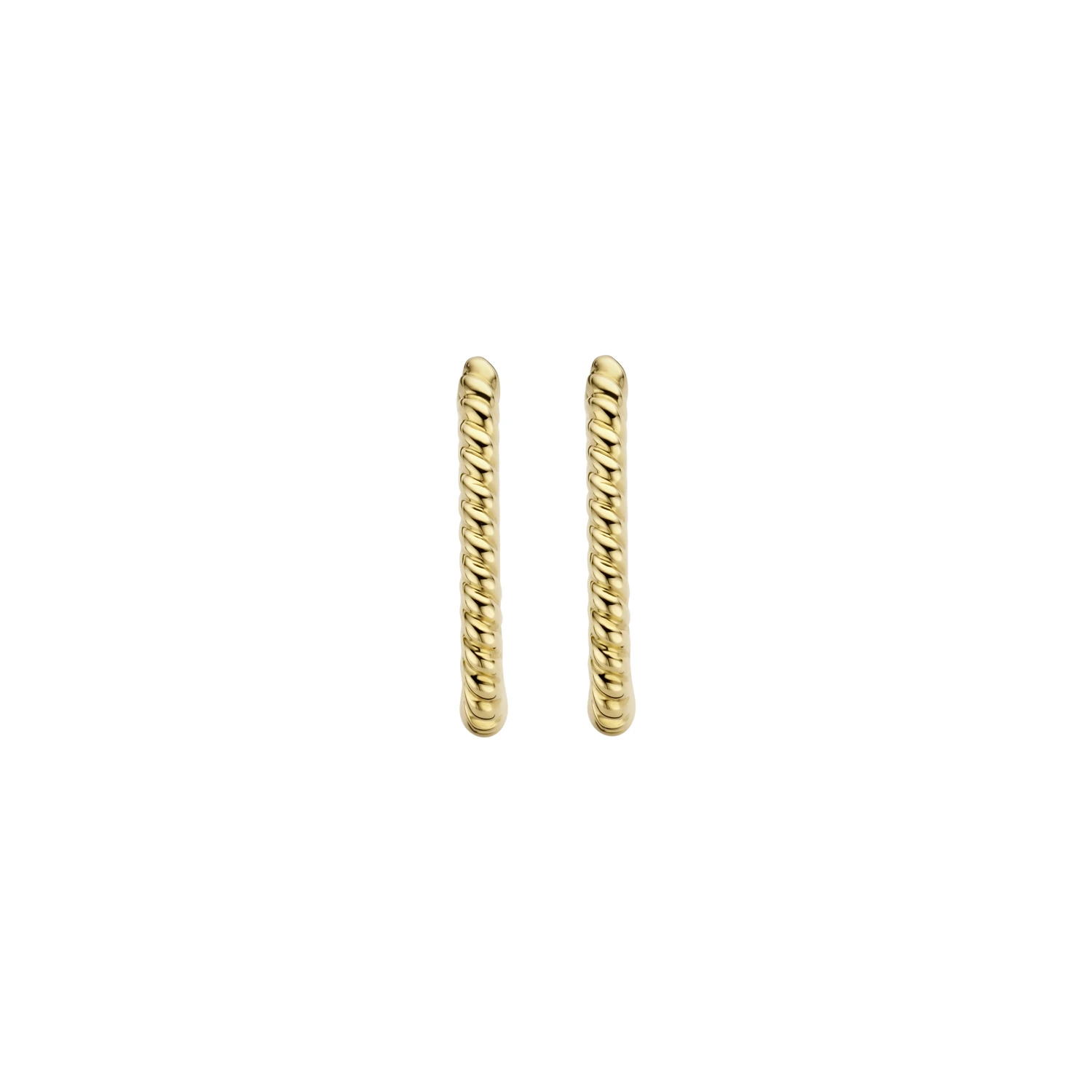 Blush Oorringen 7273YGO - Geel Goud (14k)