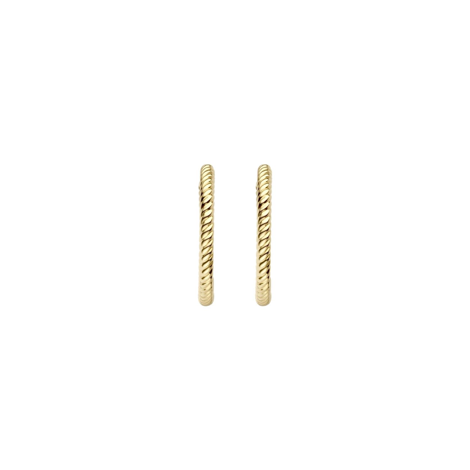 Blush Oorringen 7286YGO - Geel Goud (14k)