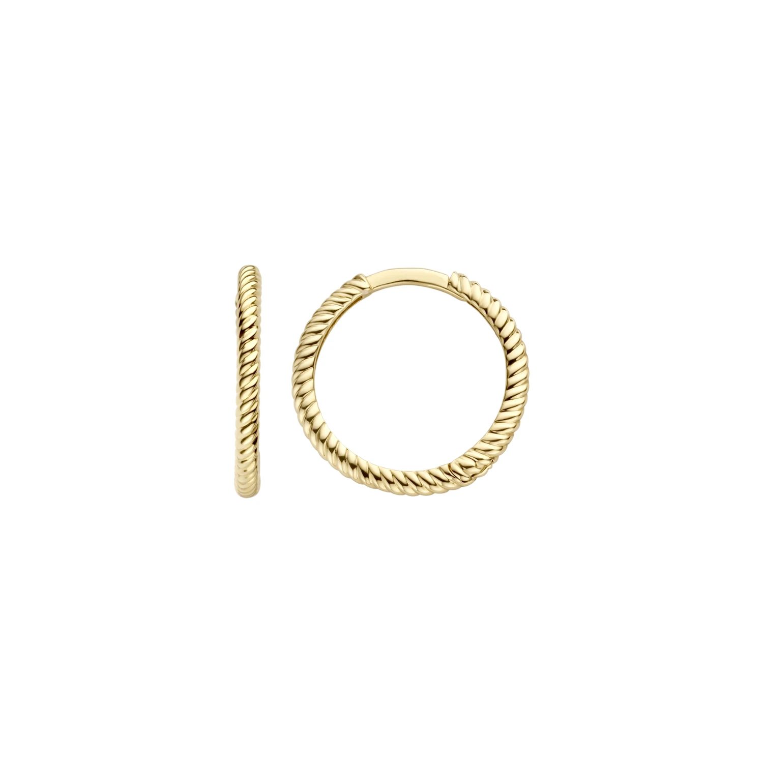 Blush Oorringen 7286YGO - Geel Goud (14k)