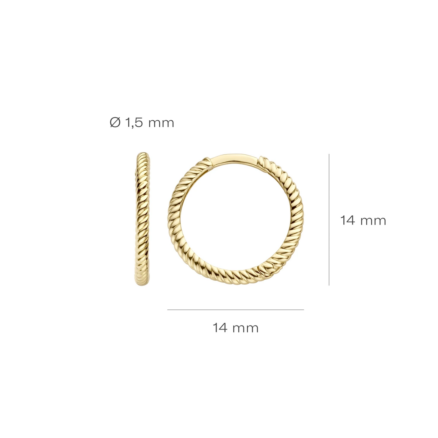 Blush Oorringen 7286YGO - Geel Goud (14k)