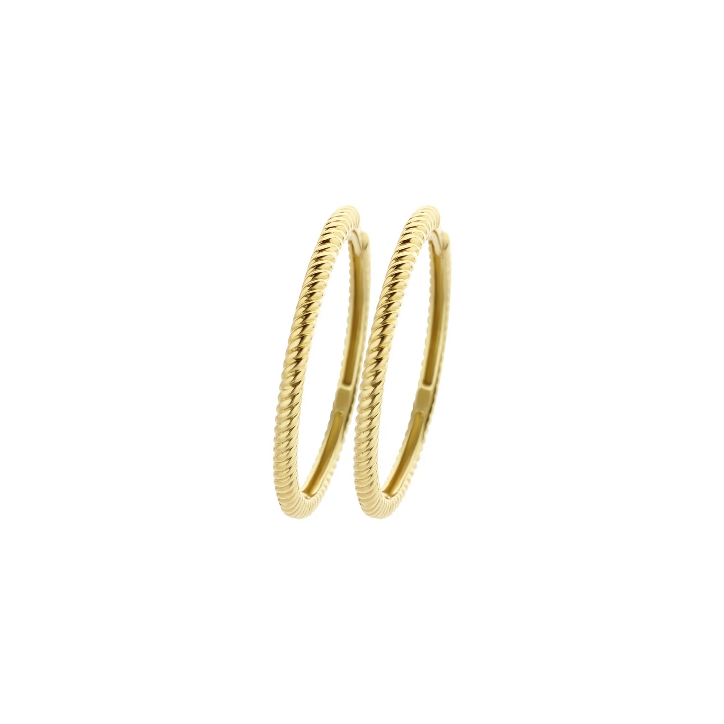 Blush Oorringen 7287YGO - Geel Goud (14k)
