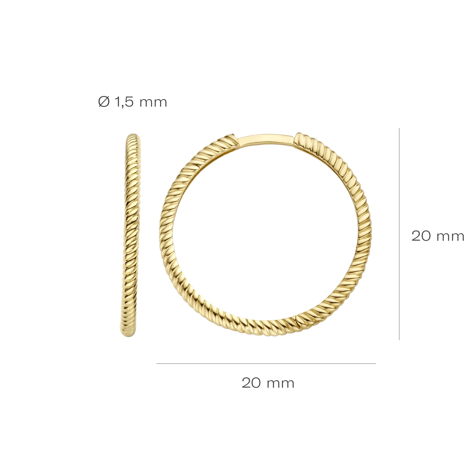Blush Oorringen 7287YGO - Geel Goud (14k)