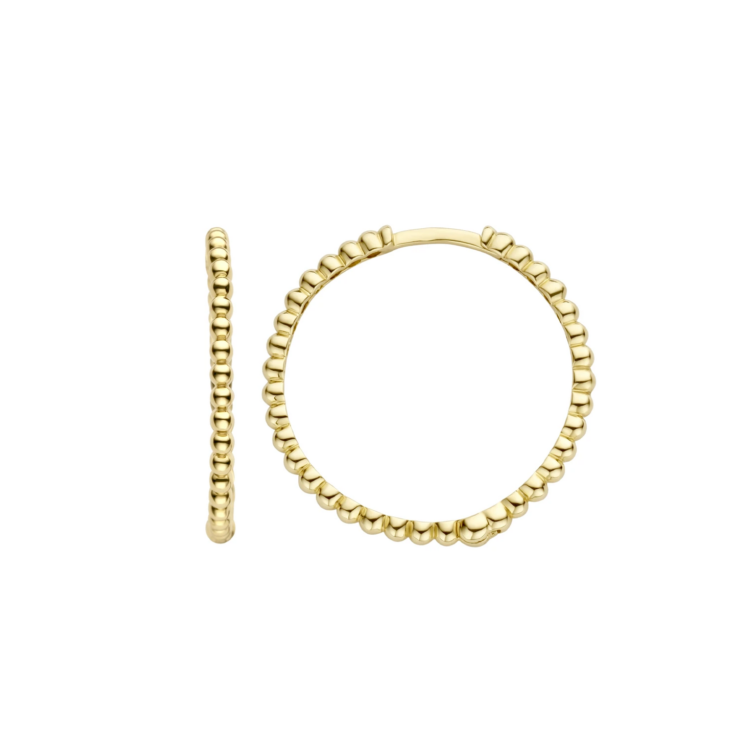 Blush Oorringen 7291YGO - Geel Goud (14k)