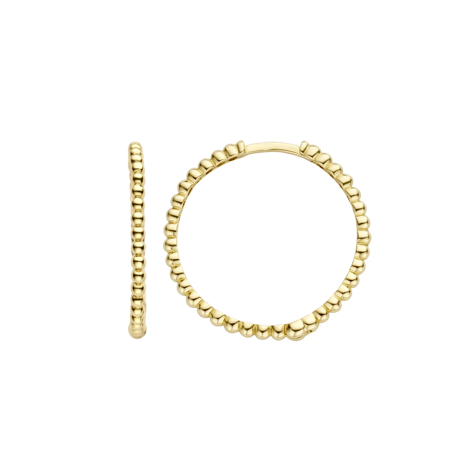 Blush Oorringen 7291YGO - Geel Goud (14k)