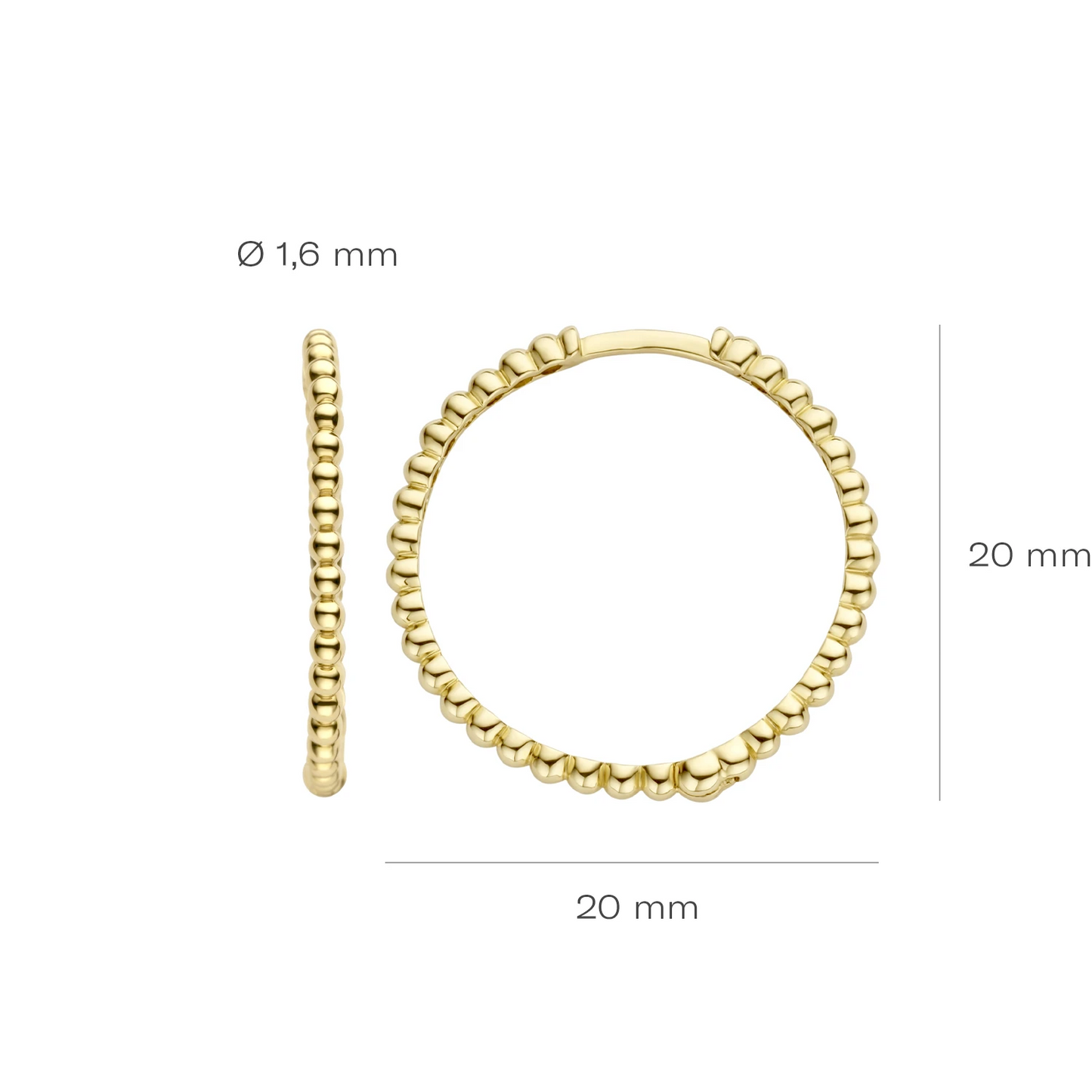 Blush Oorringen 7291YGO - Geel Goud (14k)
