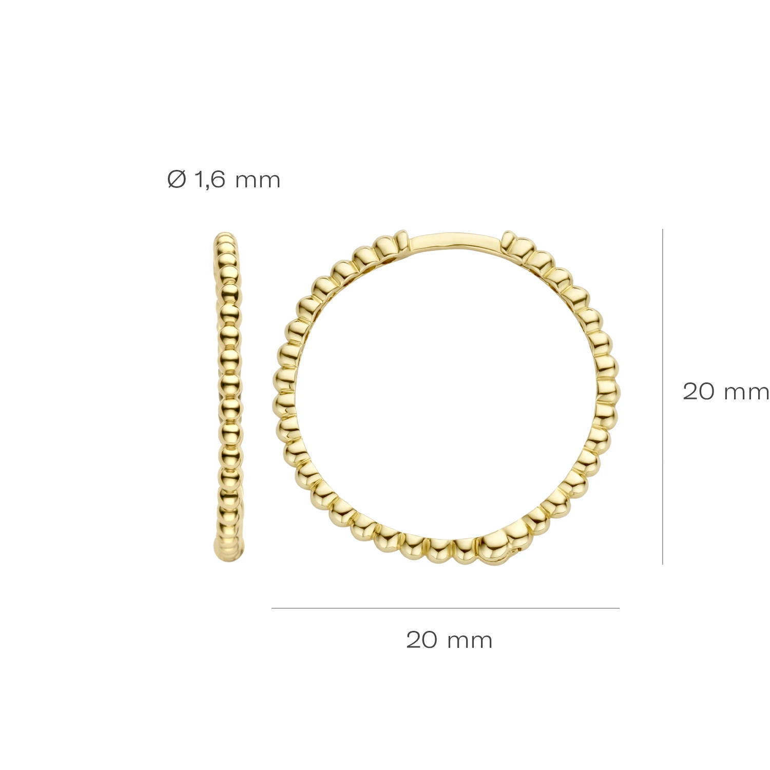 Blush Oorringen 7291YGO - Geel Goud (14k)