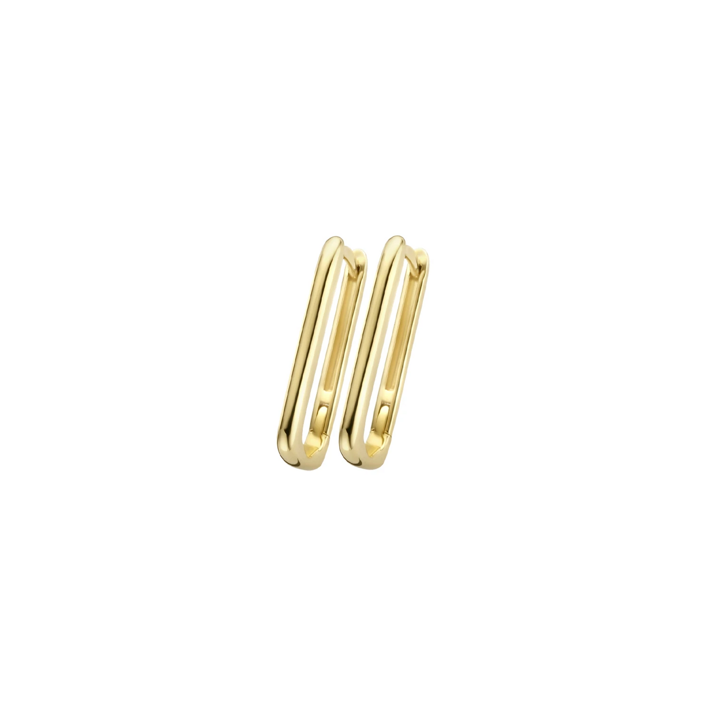 Blush Oorringen 7295YGO - Geel Goud (14k)