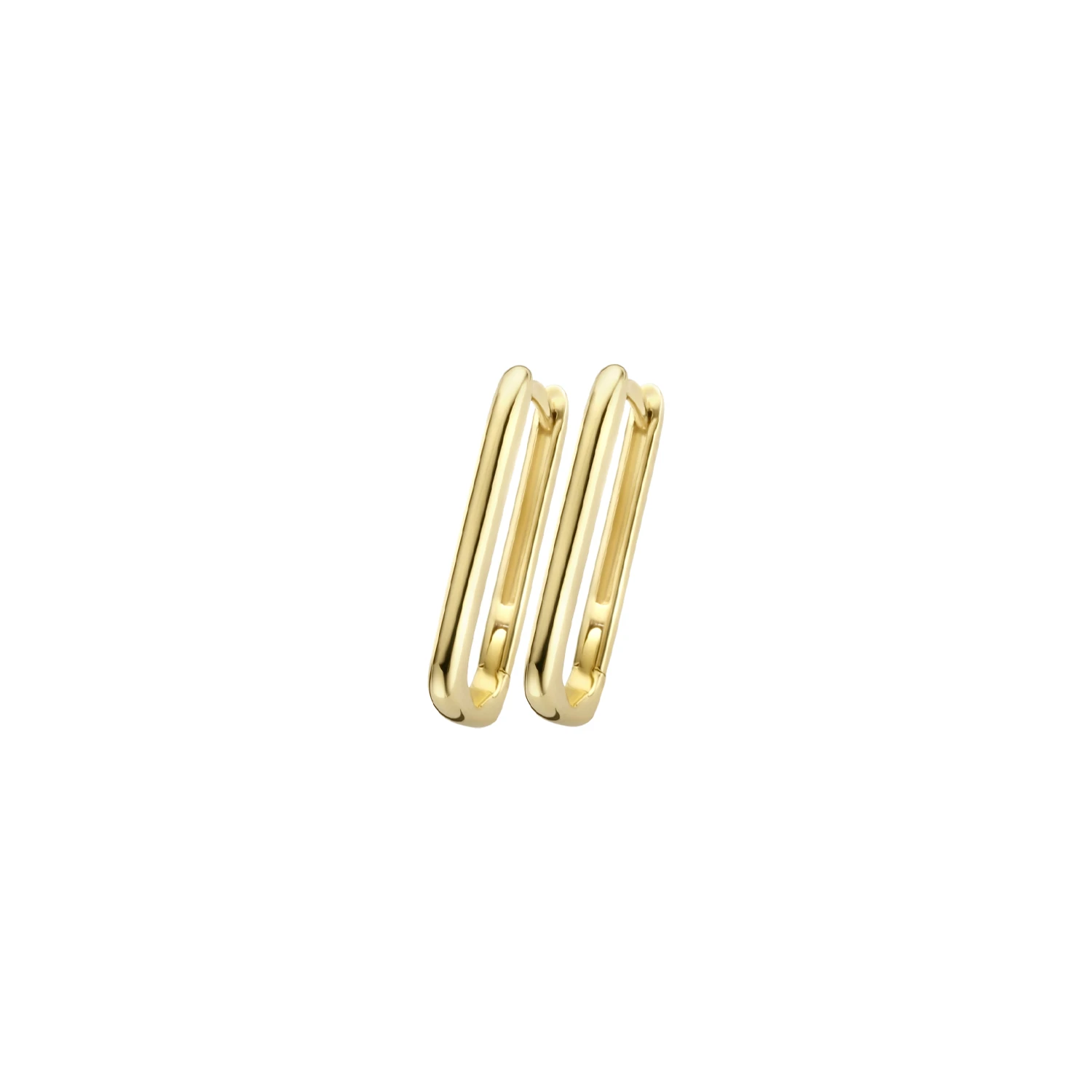 Blush Oorringen 7295YGO - Geel Goud (14k)