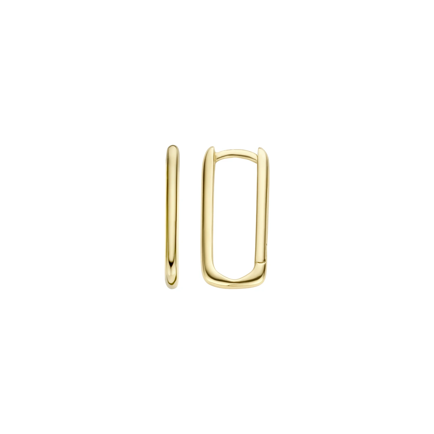 Blush Oorringen 7295YGO - Geel Goud (14k)