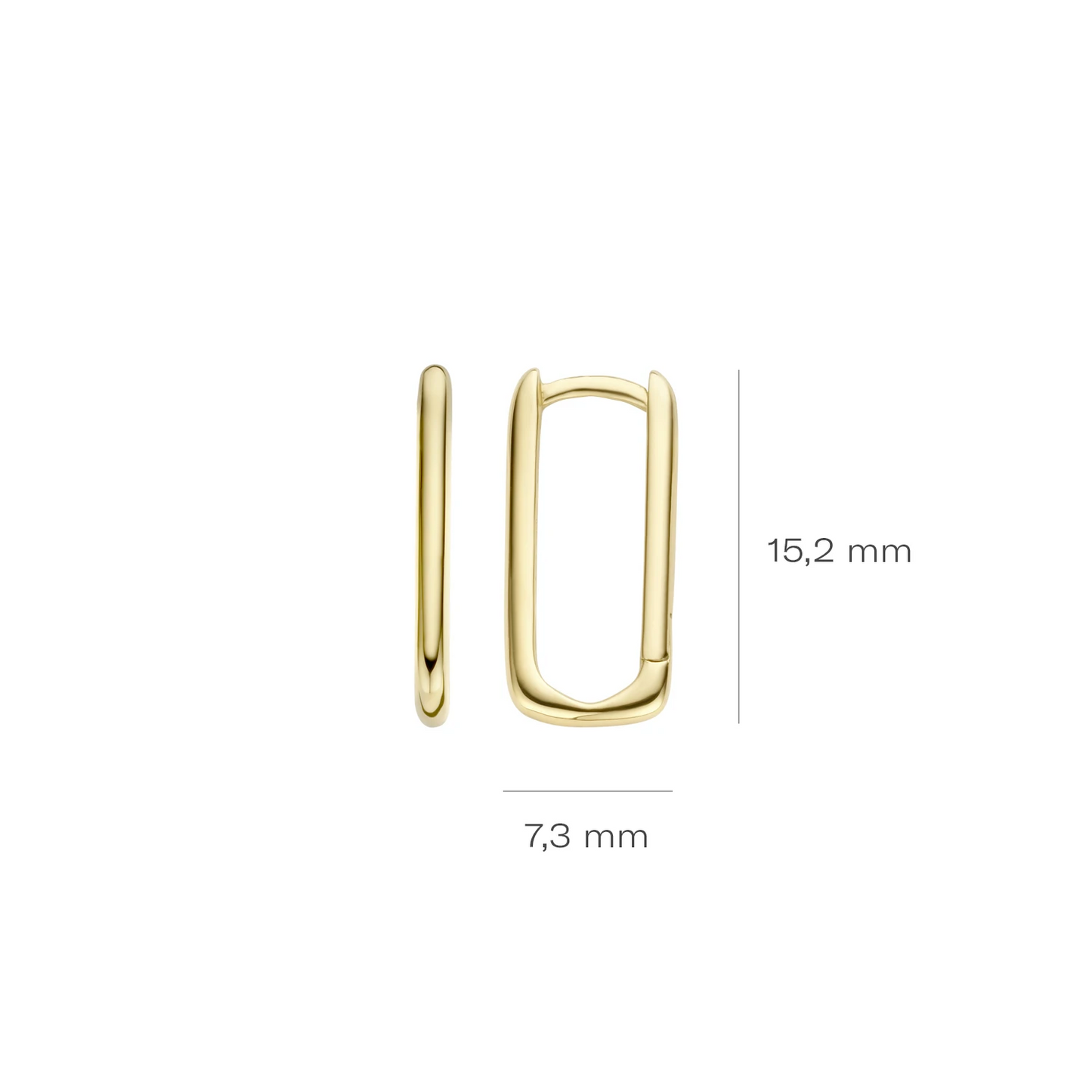 Blush Oorringen 7295YGO - Geel Goud (14k)