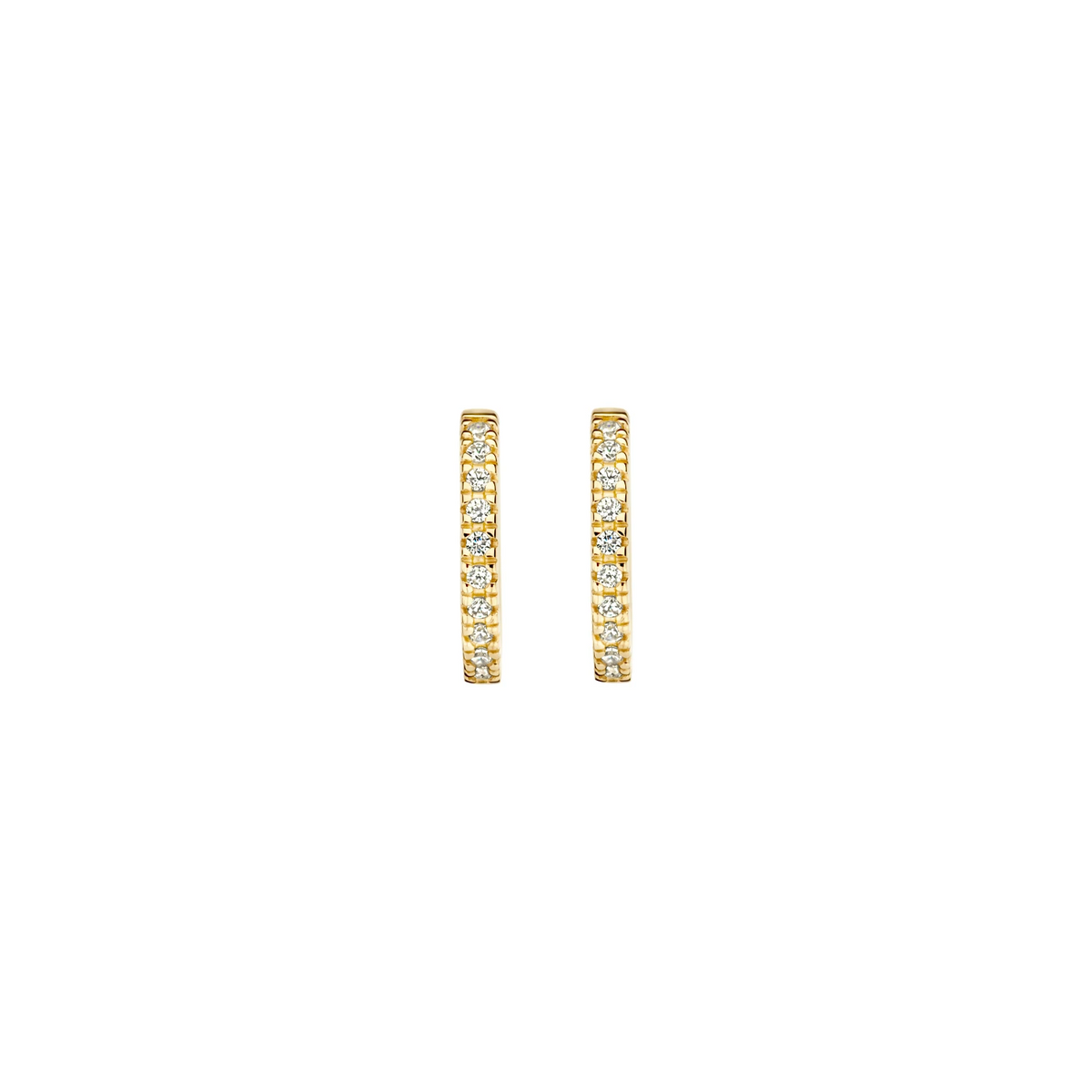 Blush Oorringen 7307YZI - Geel Goud (14k) met Zirkonia