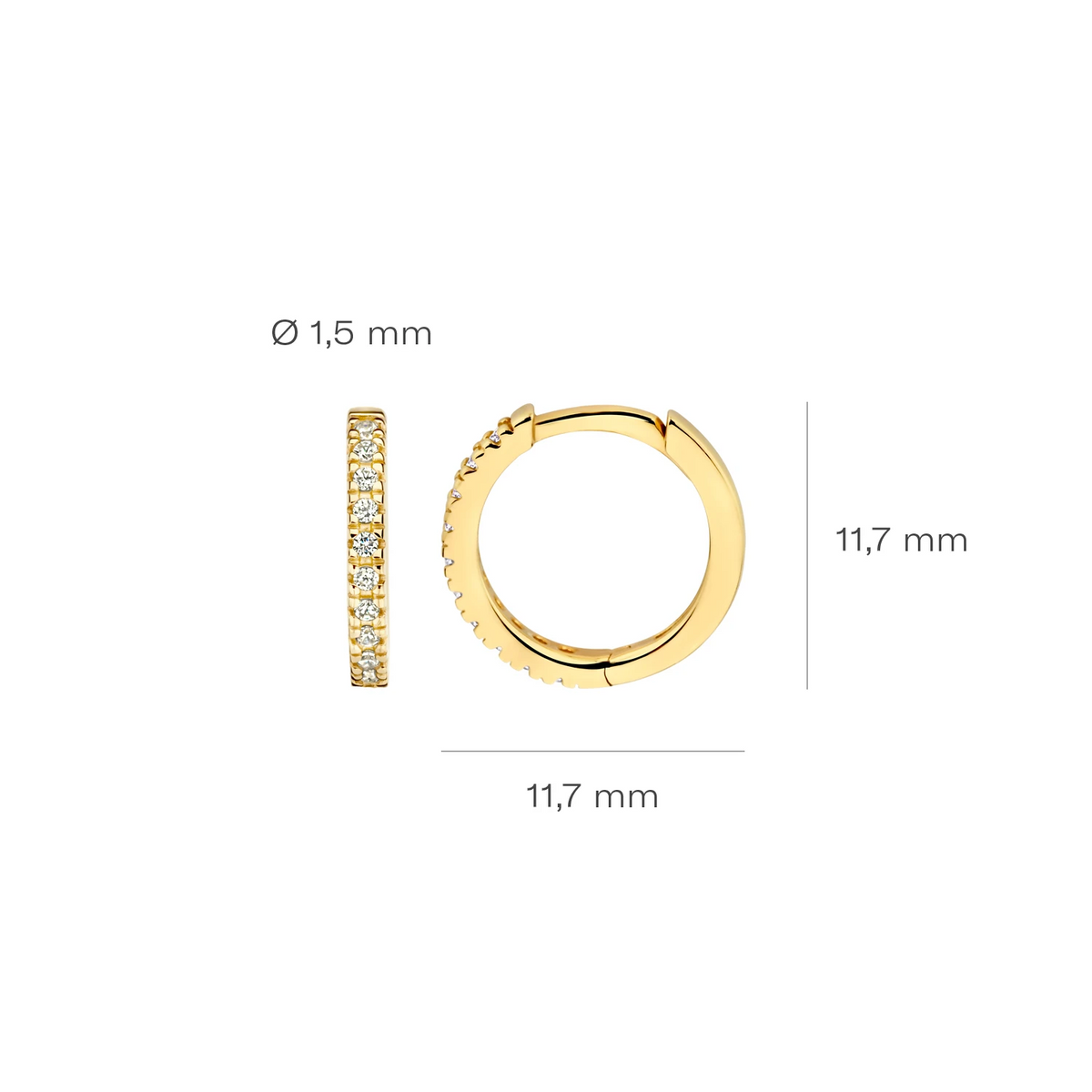 Blush Oorringen 7307YZI - Geel Goud (14k) met Zirkonia