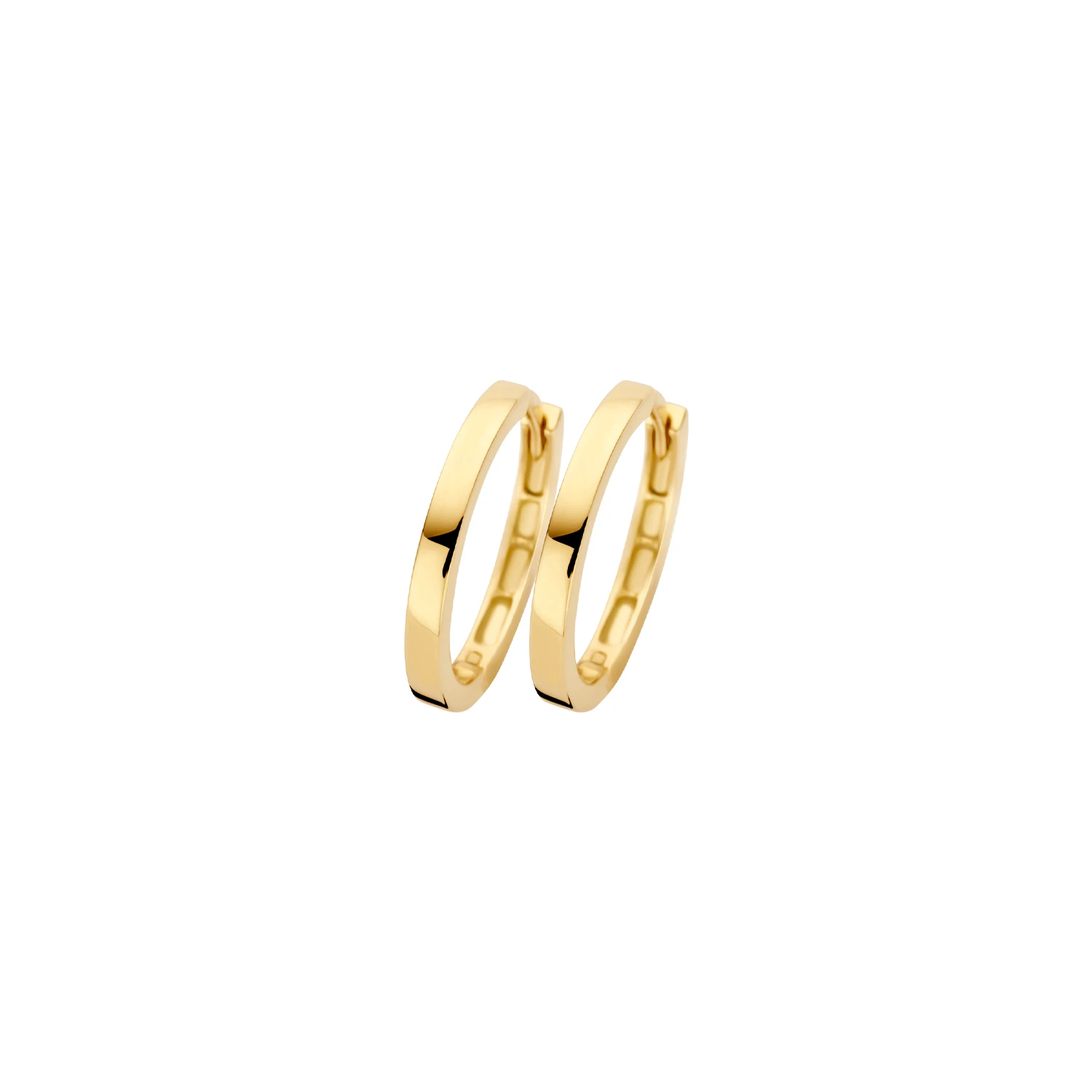 Blush Oorringen 7308YGO - Geelgoud (14k)