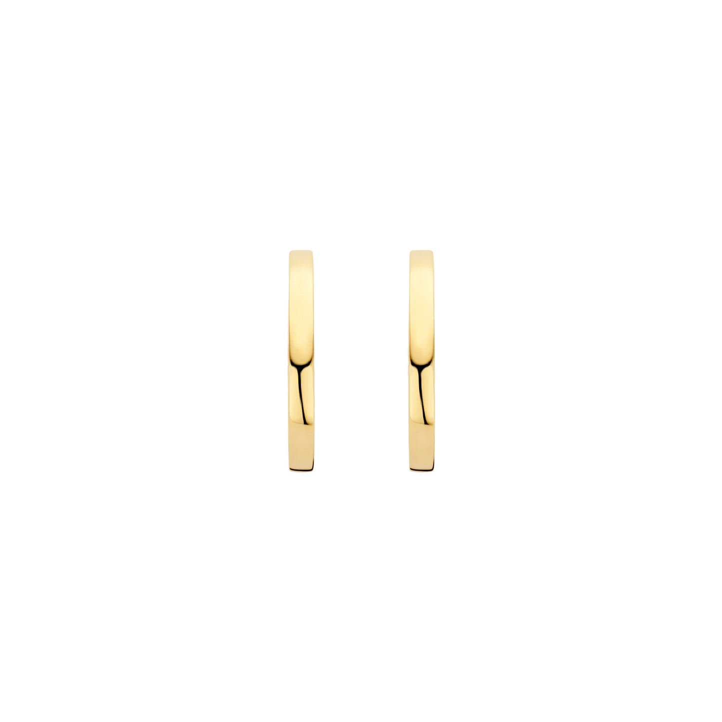 Blush Oorringen 7308YGO - Geelgoud (14k)
