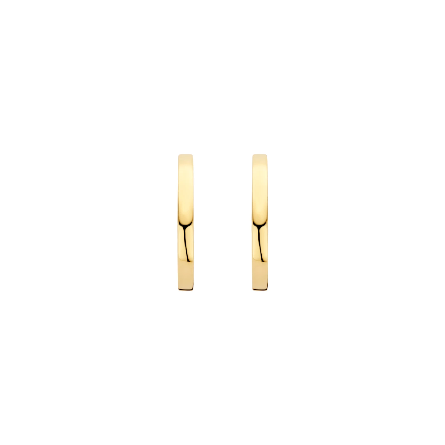 Blush Oorringen 7308YGO - Geelgoud (14k)