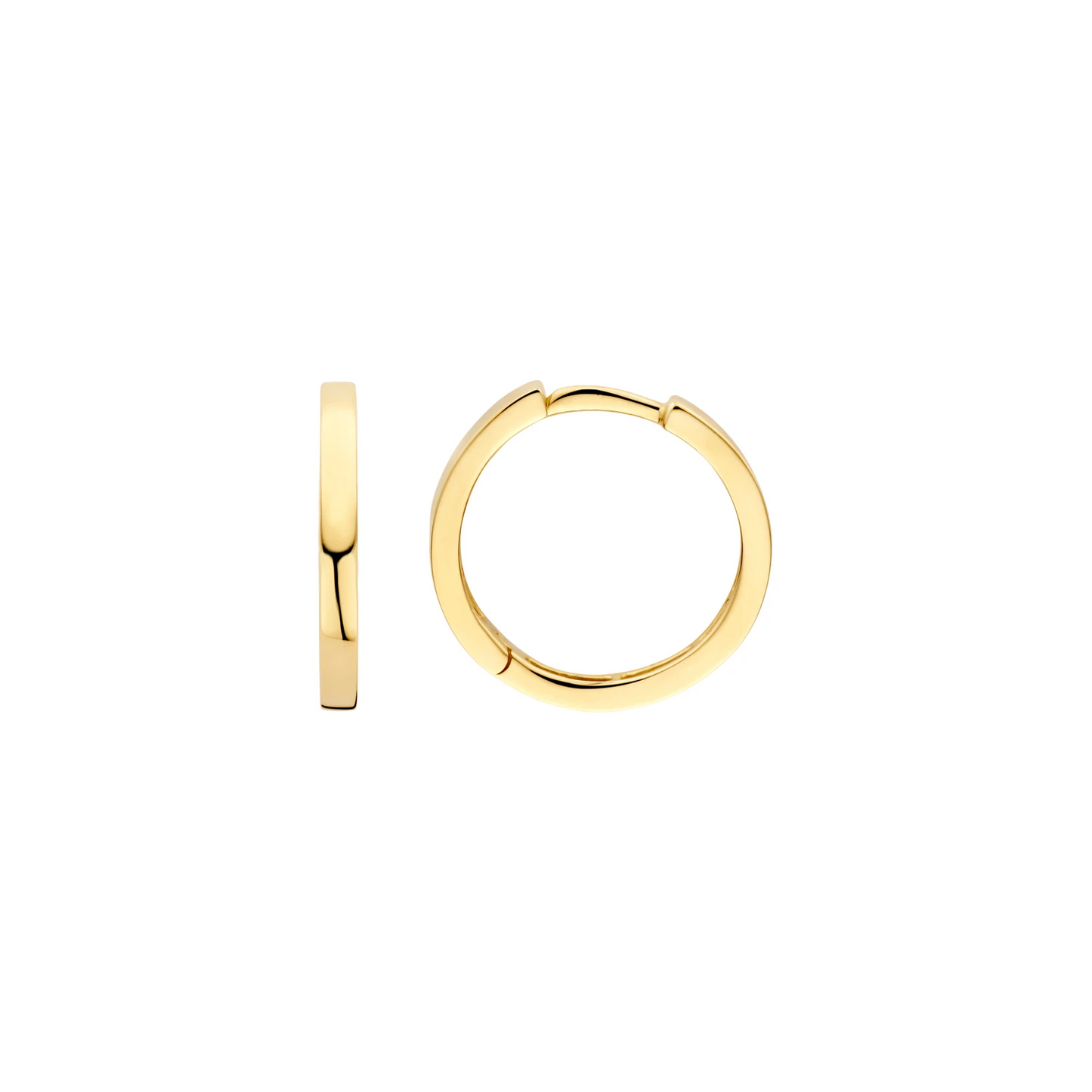 Blush Oorringen 7308YGO - Geelgoud (14k)
