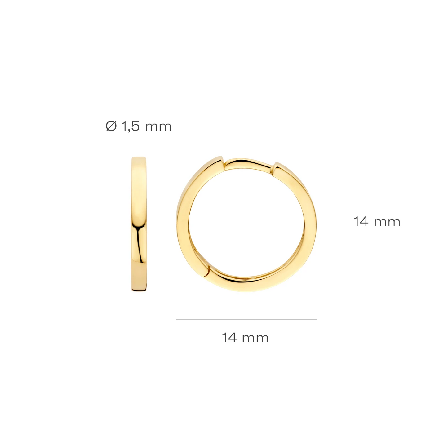 Blush Oorringen 7308YGO - Geelgoud (14k)
