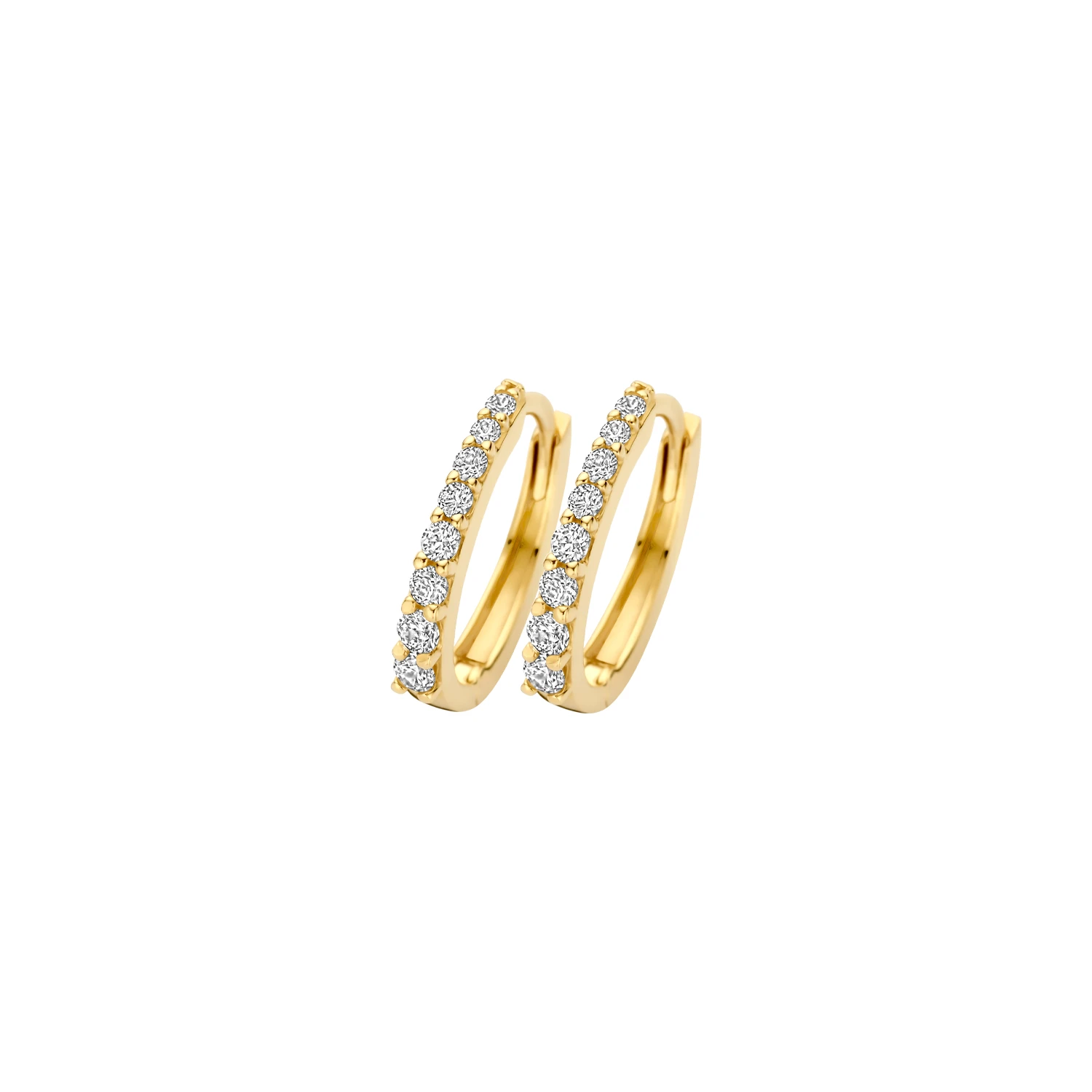 Blush Oorringen 7341YZI - Geelgoud (14k) met Zirkonia