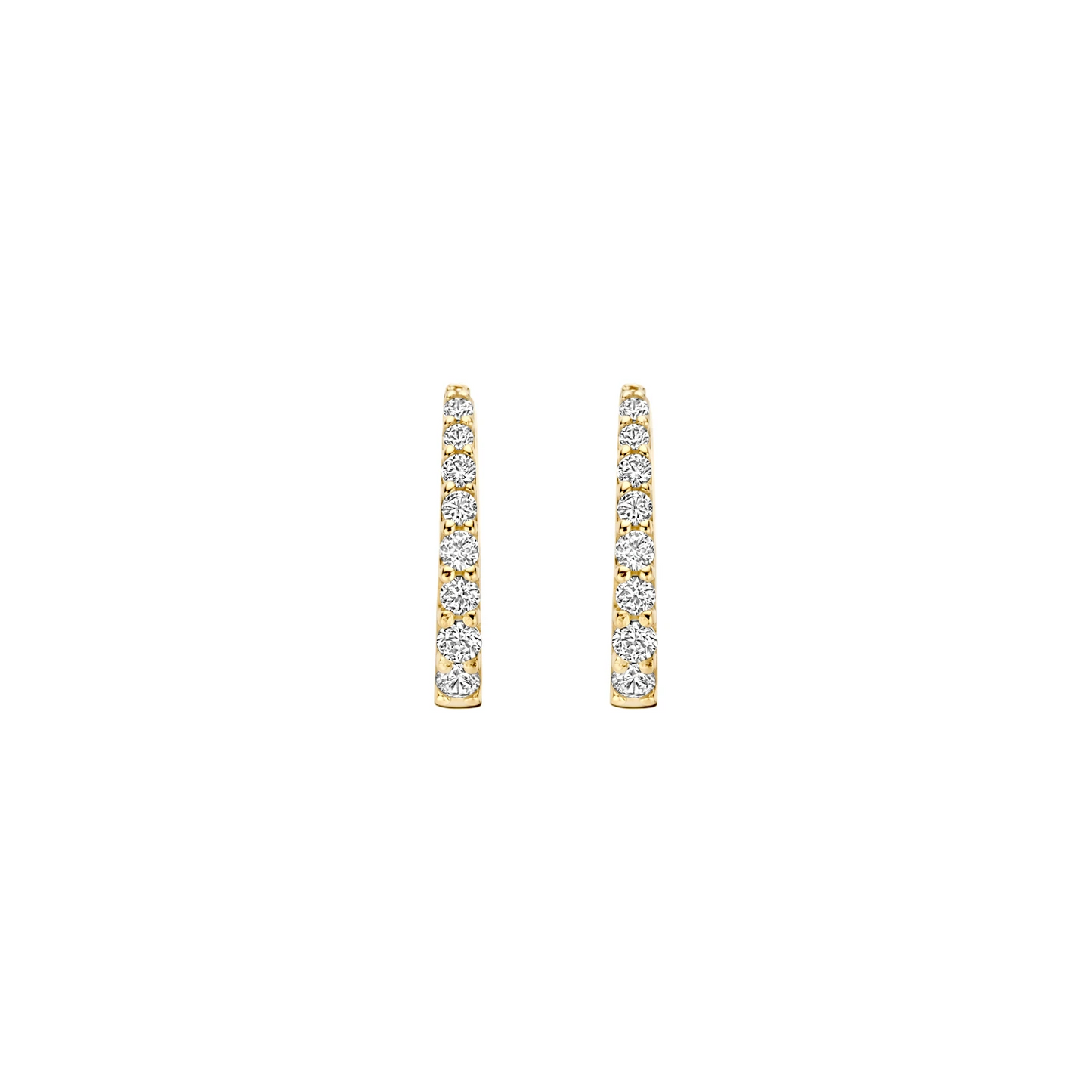 Blush Oorringen 7341YZI - Geelgoud (14k) met Zirkonia