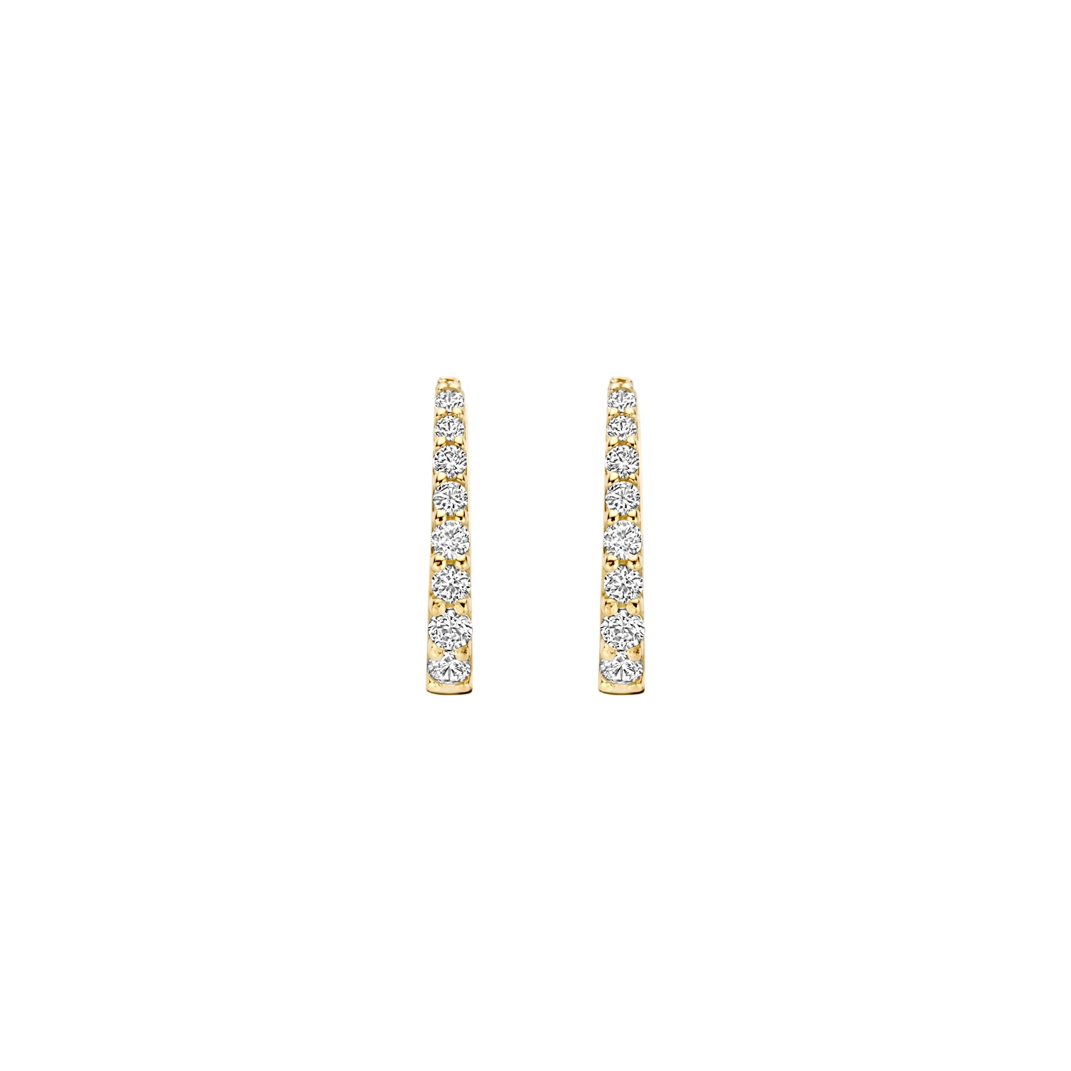 Blush Oorringen 7341YZI - Geelgoud (14k) met Zirkonia