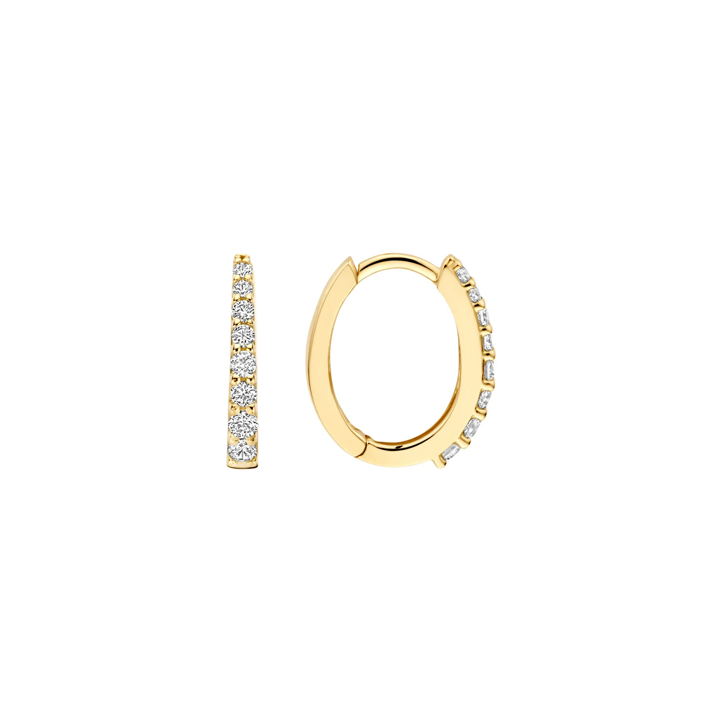 Blush Oorringen 7341YZI - Geelgoud (14k) met Zirkonia